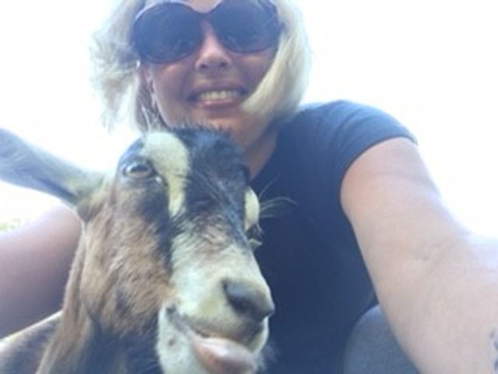 Goatfree Stegall