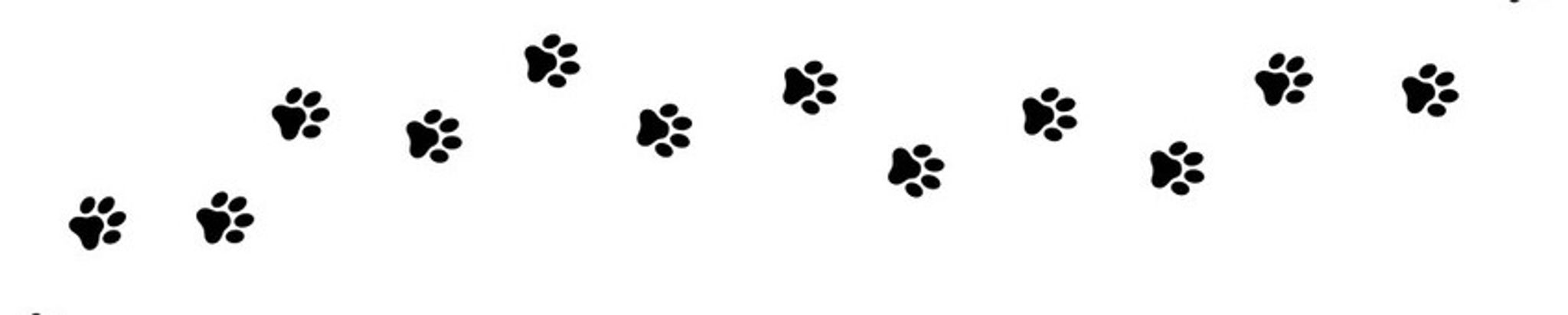 Cover for Susan Margaret Link's Obituary