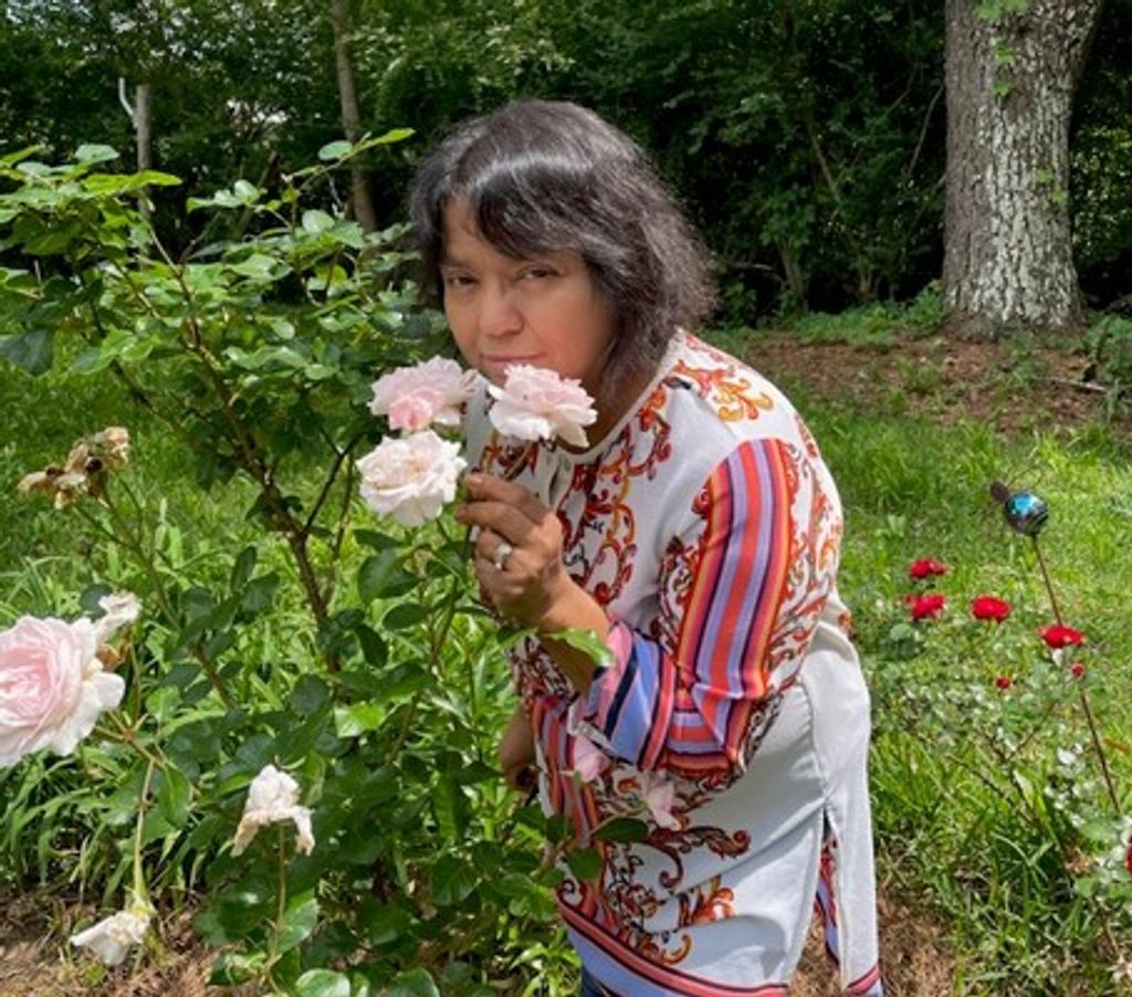 Guillemina Cook Profile Photo