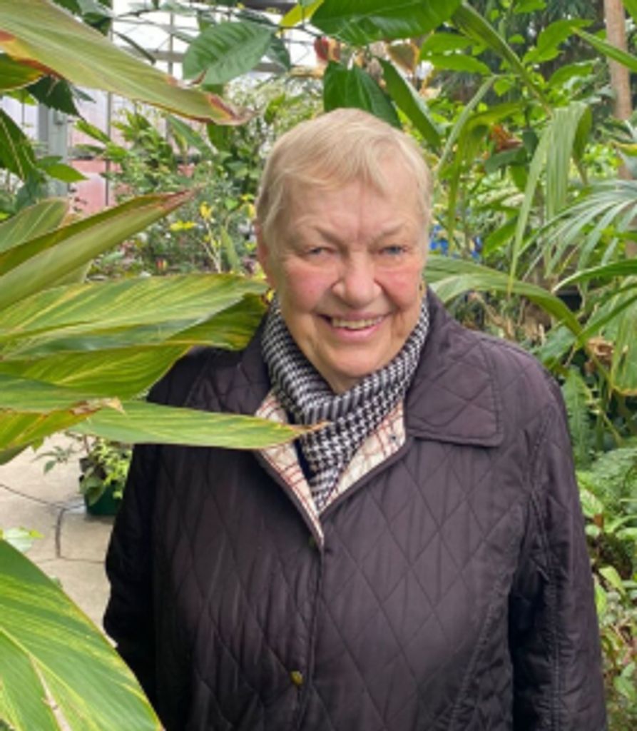 Bernarda Timordidio