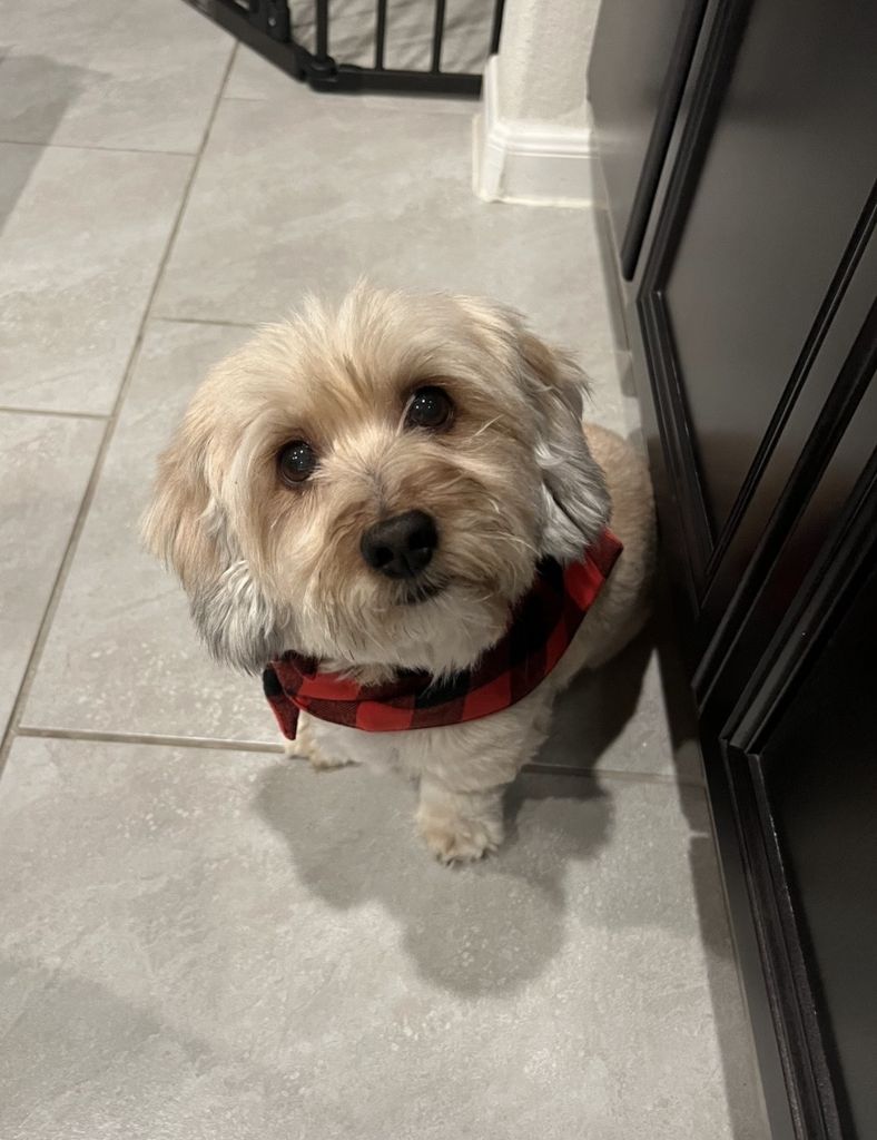 Snookie Profile Photo