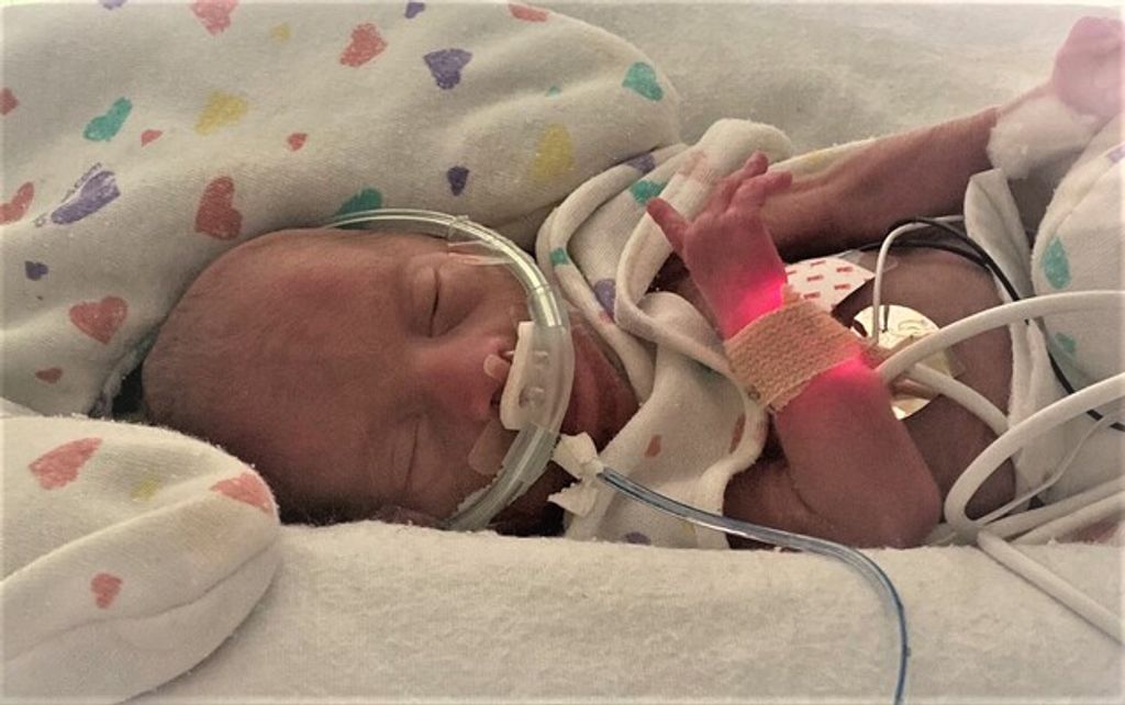 Waylon Blake Mckinney Profile Photo