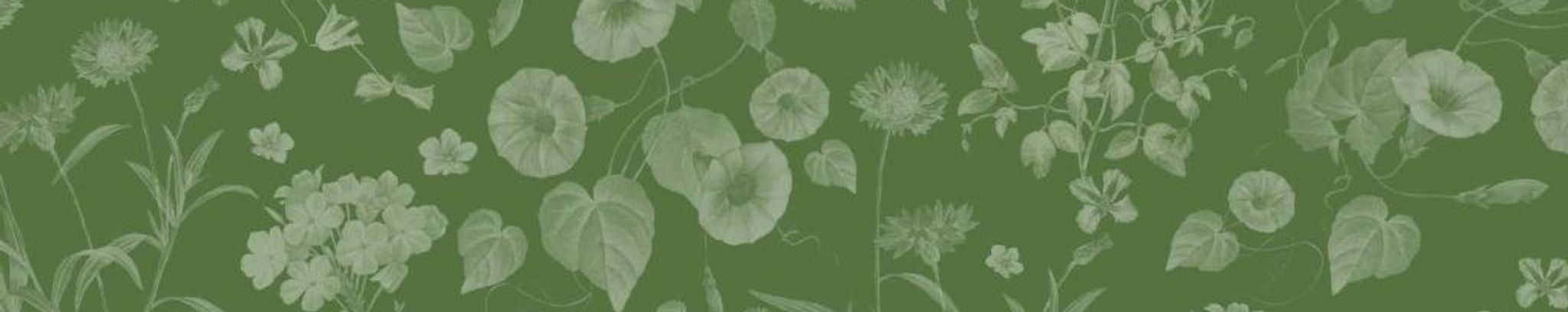 Cover photo for Elaine Delores Garrison's Obituary