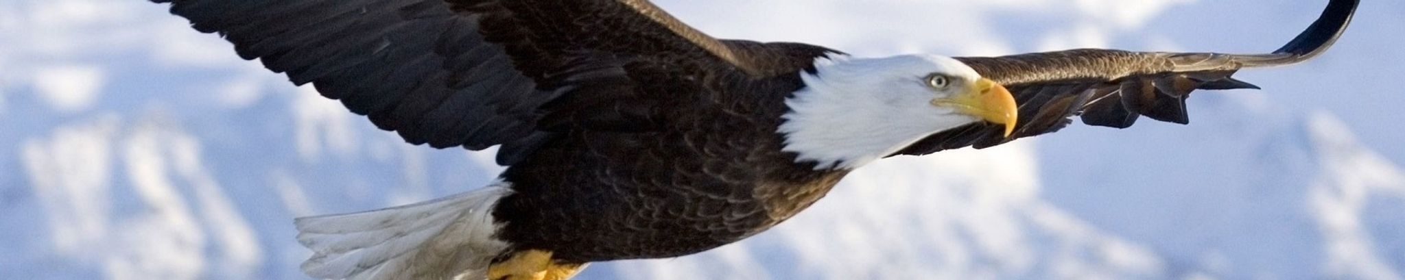 Cover photo for Daniel Clark Luttrull Sr.'s Obituary