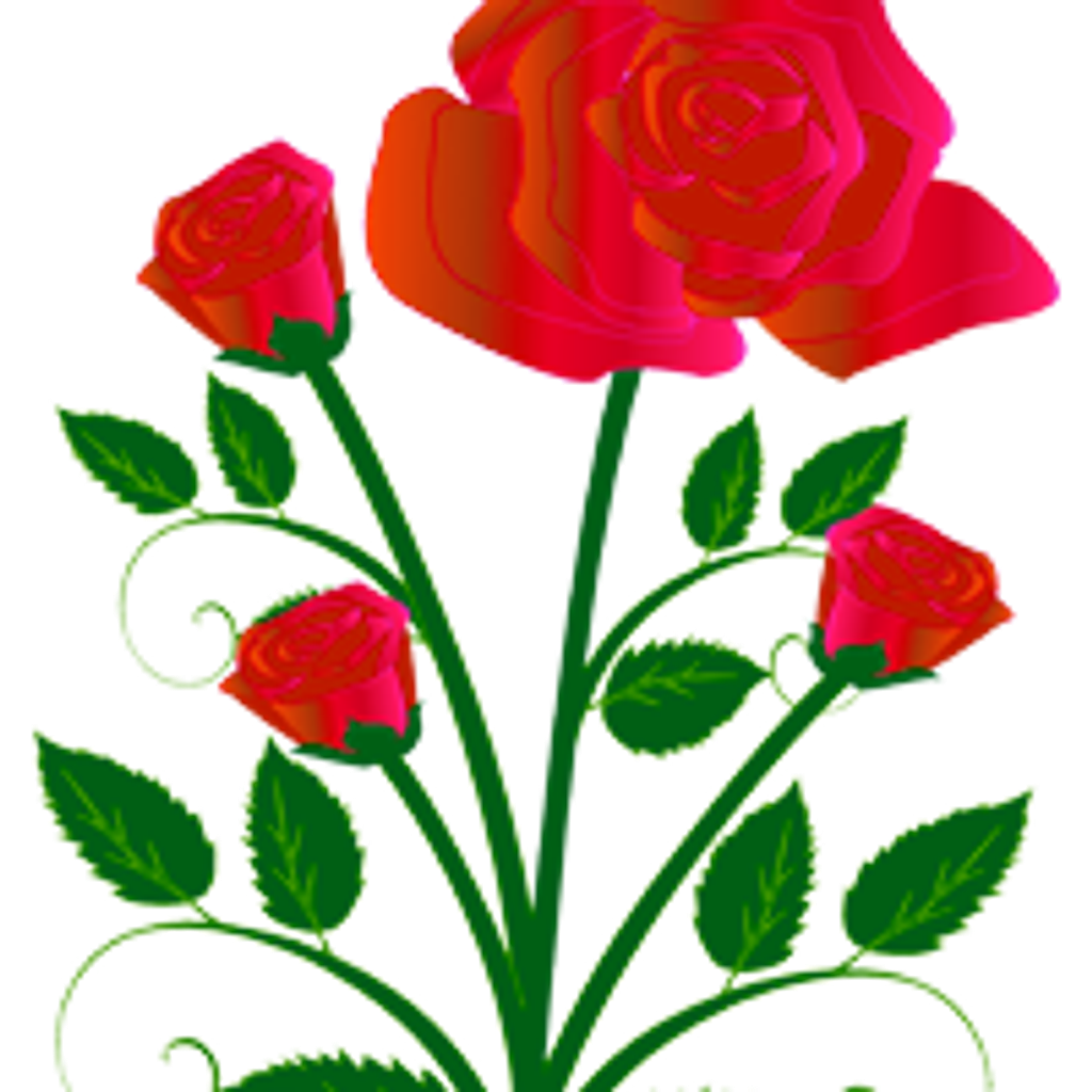 Rose J (Melideo) Falace