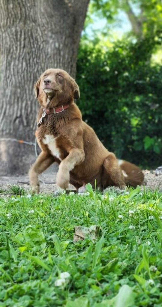 Coco Nicks Profile Photo