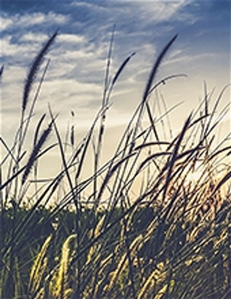 Jesse  Dean Dalton Babiuch Profile Photo