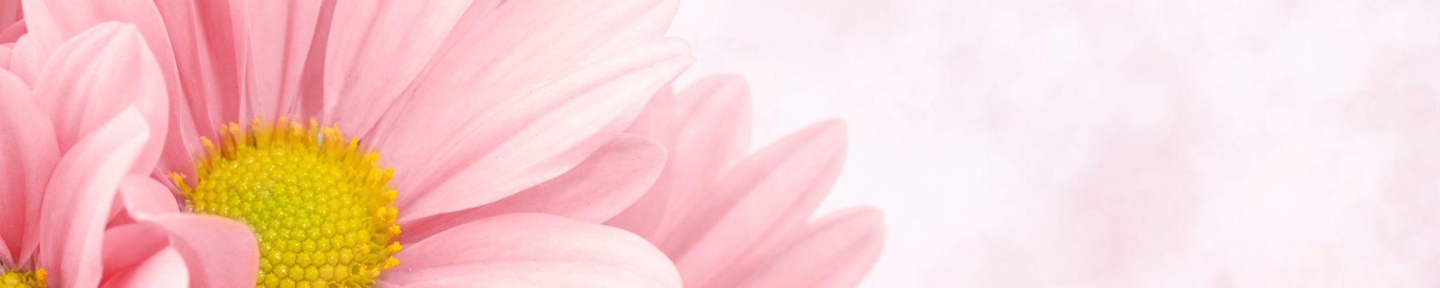 Cover photo for Marilyn Mary Thacker's Obituary