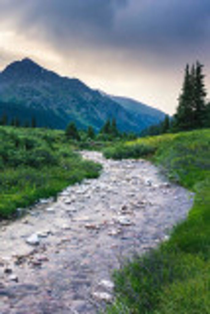 Ray Vanbuskirk Profile Photo