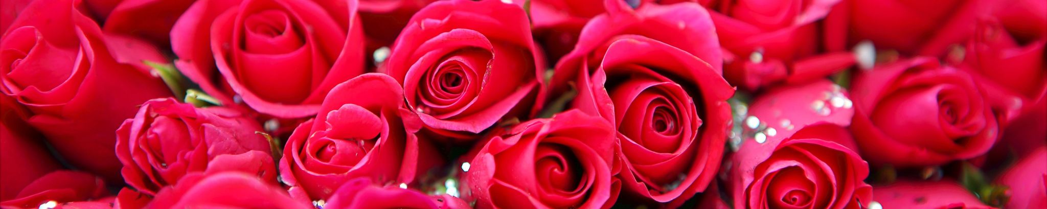 Cover photo for Margaret J. Schutte Moore's Obituary