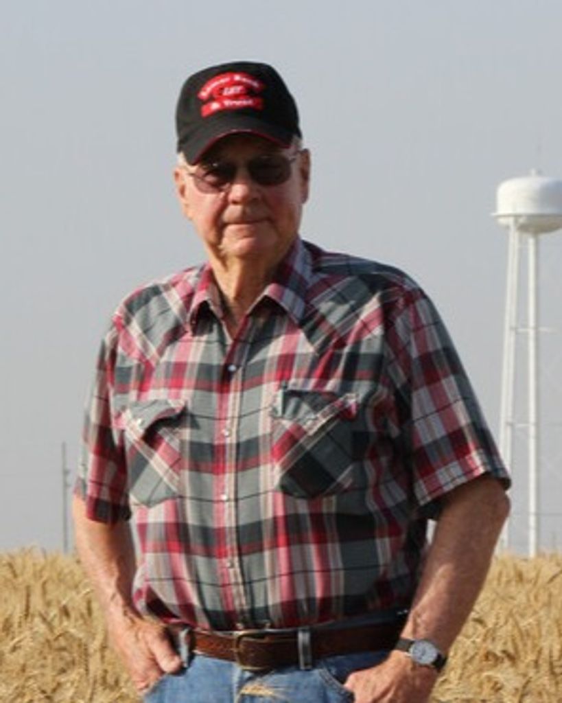 Ray Albert Little