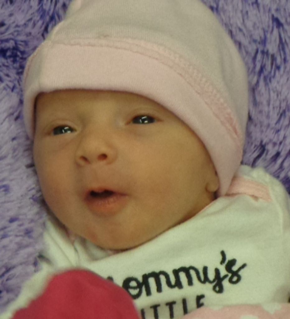 Rayleigh Ann Fitch