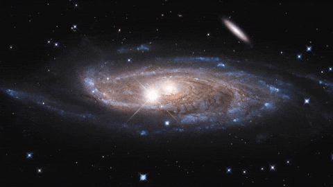 Cover for Alyssa Marie Kruppenbacker's Obituary
