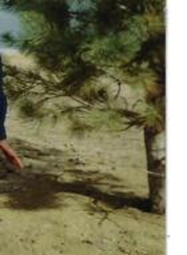 Lurline  Alexander Profile Photo