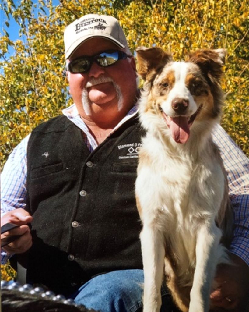 Steve D Ochs Profile Photo