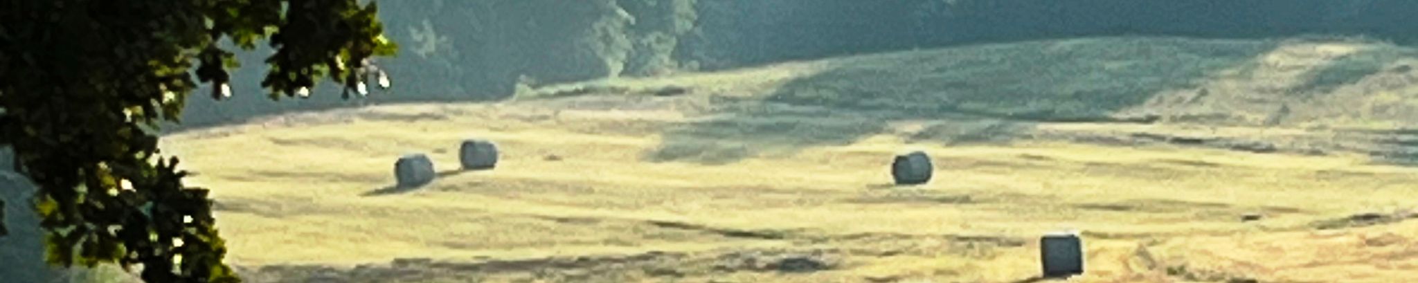 Cover for Harry Lee Baker's Obituary