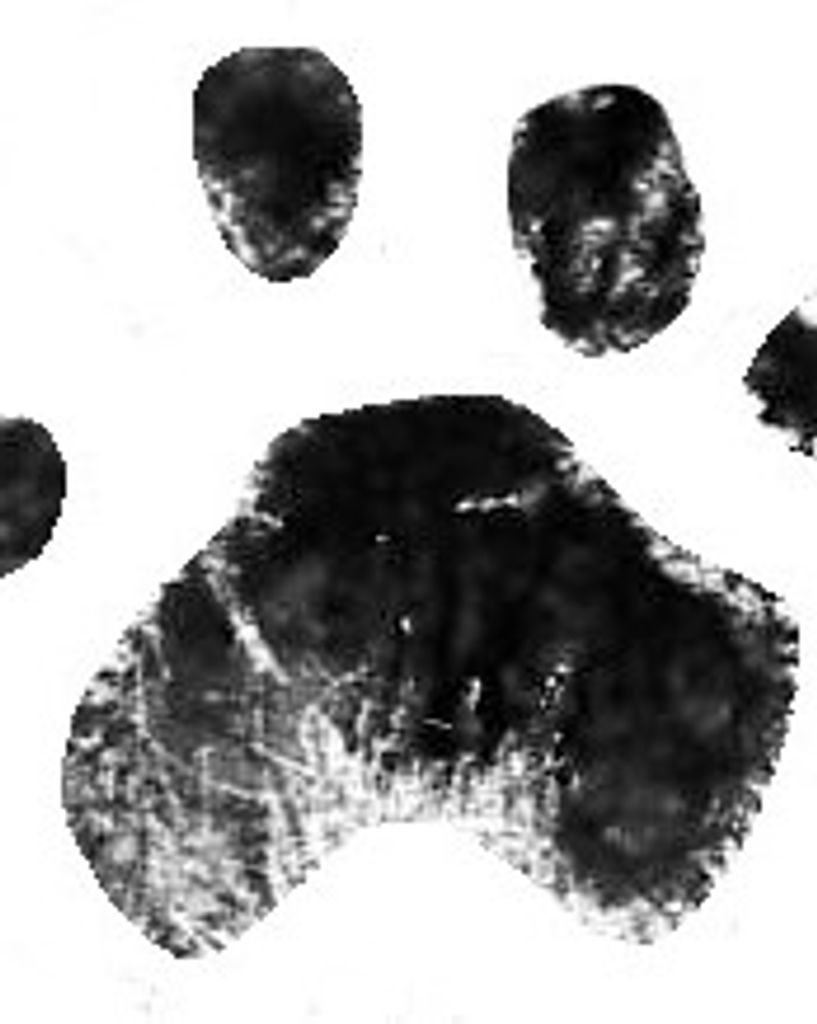 Layla Etheridge Profile Photo