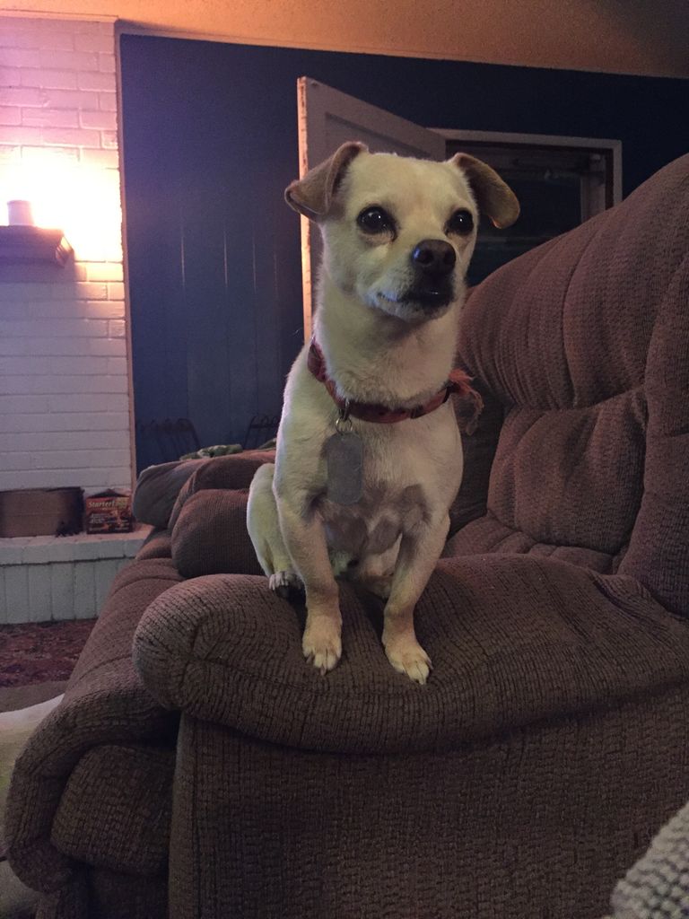 Biscuit "Booger" Kerr Profile Photo