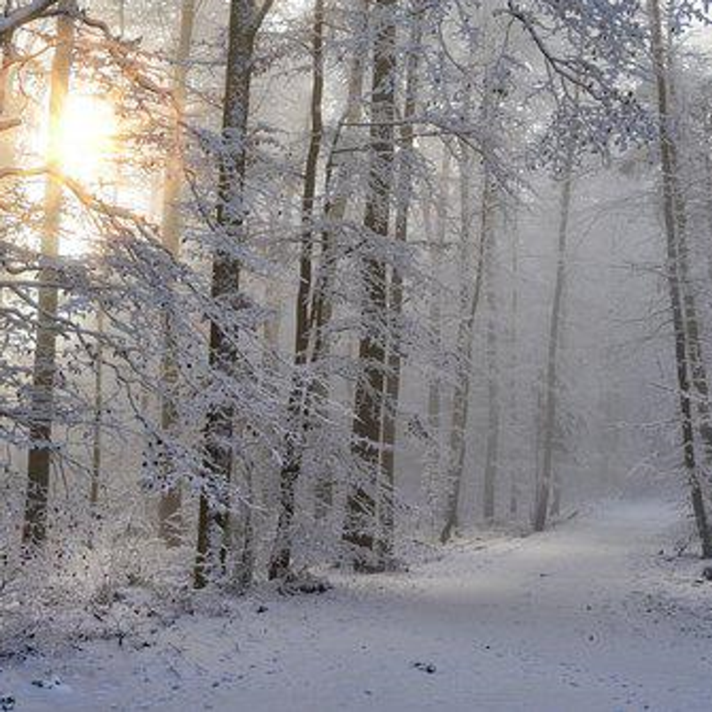 Penny E. Hoover Profile Photo