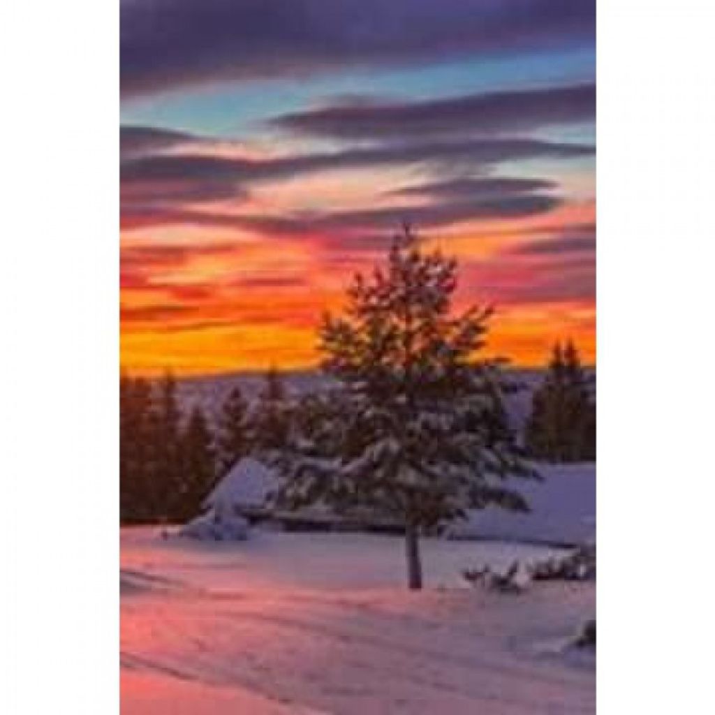 Judith Shriver Gretz Profile Photo