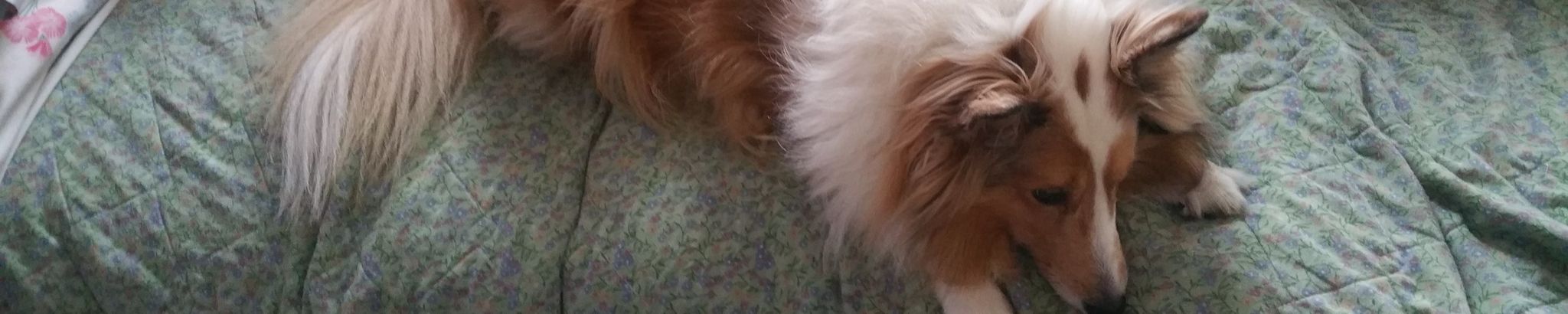 Cover photo for "Taffy" Clark's Obituary