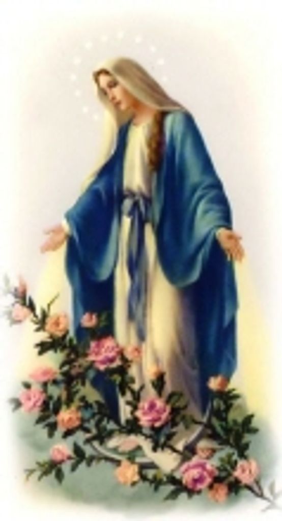 Alice Ann Kolker Schnedl