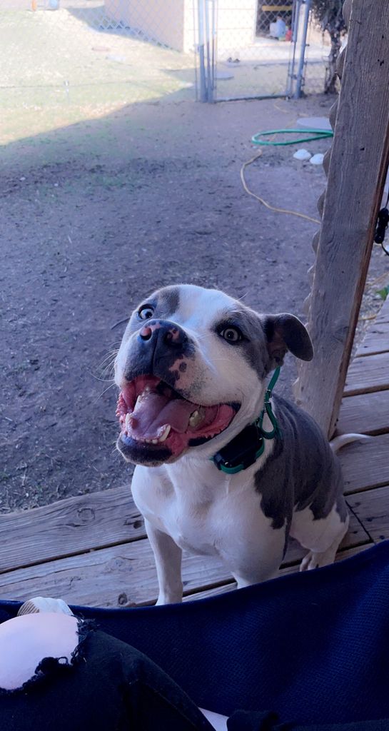 Klaus Profile Photo