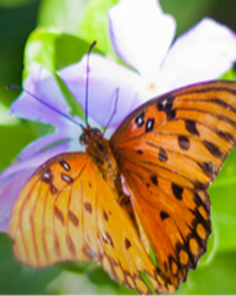 Juanita May Johnson Profile Photo