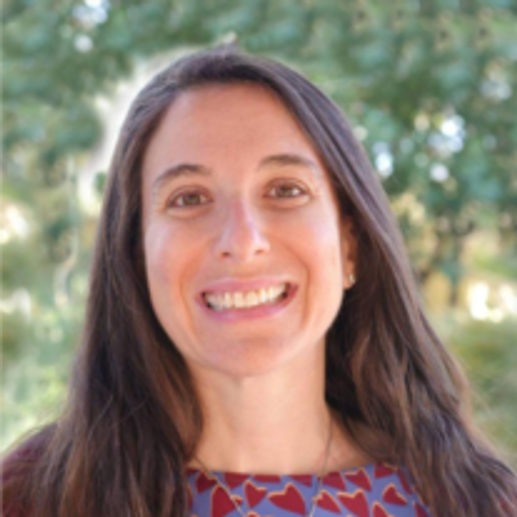 Julie Helane Birns