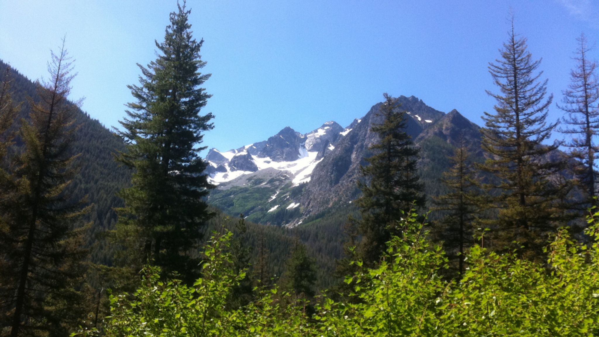 Cover for Ellen Sigrid Marie Bengtson's Obituary