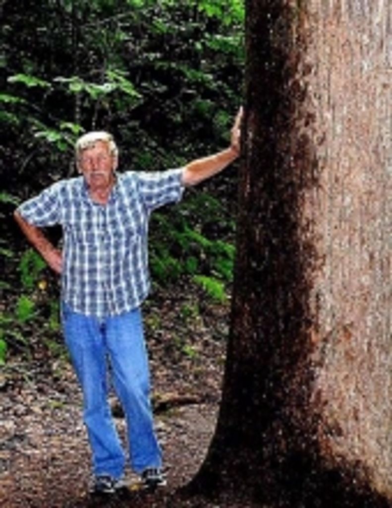 Harold Morrow Profile Photo