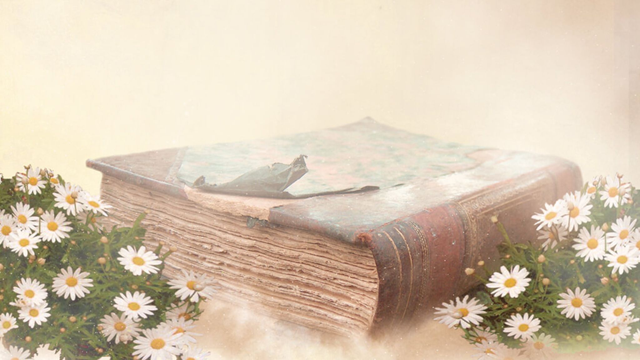 Cover photo for Elizabeth  Knight's Obituary