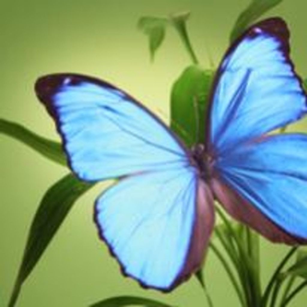 Mrs Dorothy M. Gilroy Profile Photo