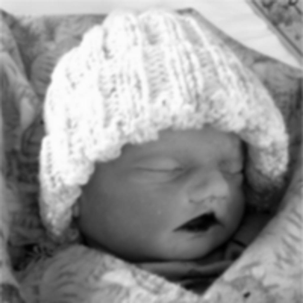 Matthew William Krause