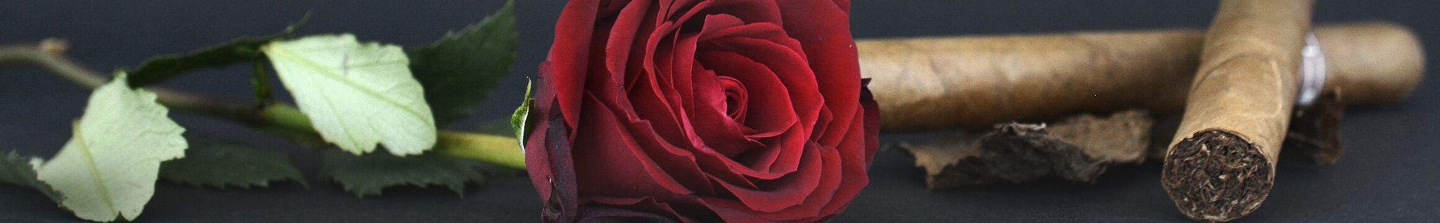 Cover for Robert Joseph Hewitt's Obituary