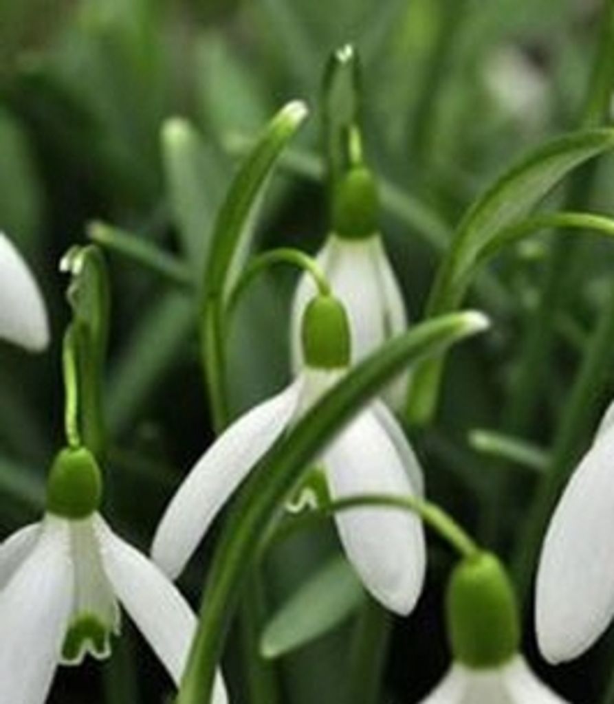 Regina Kinnich Ruzicka