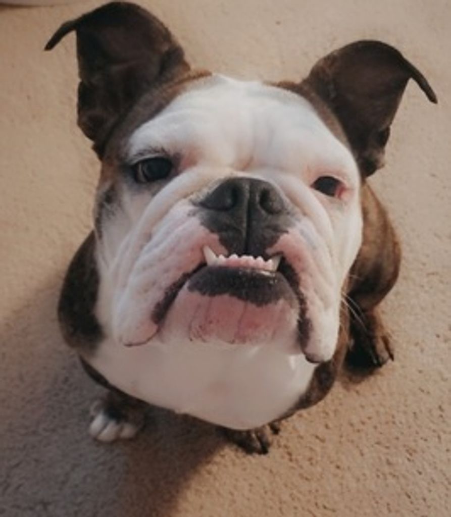 Sophia Baylor Profile Photo