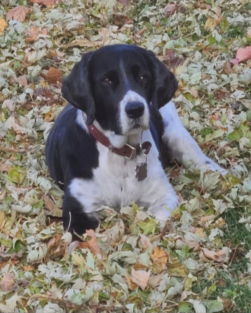 Patches (Pretty Girl)
