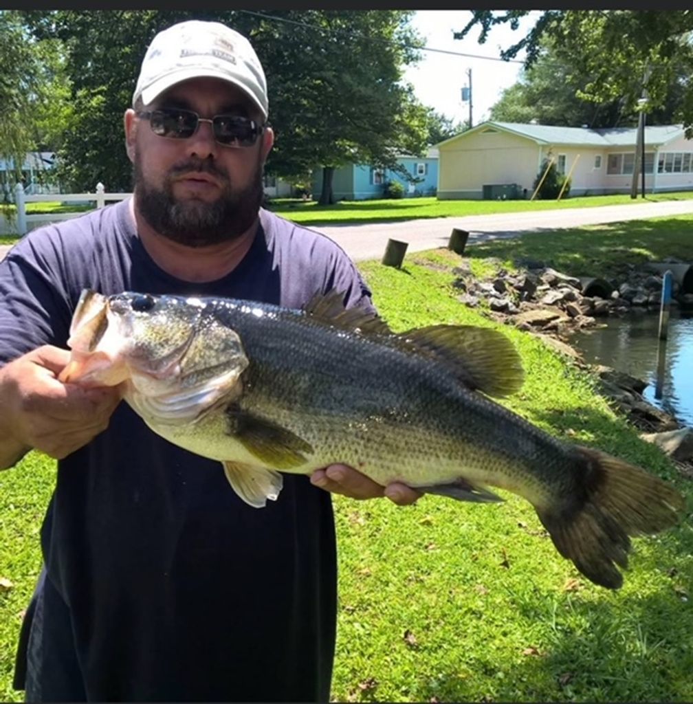 Elmer Guy Martin Iii