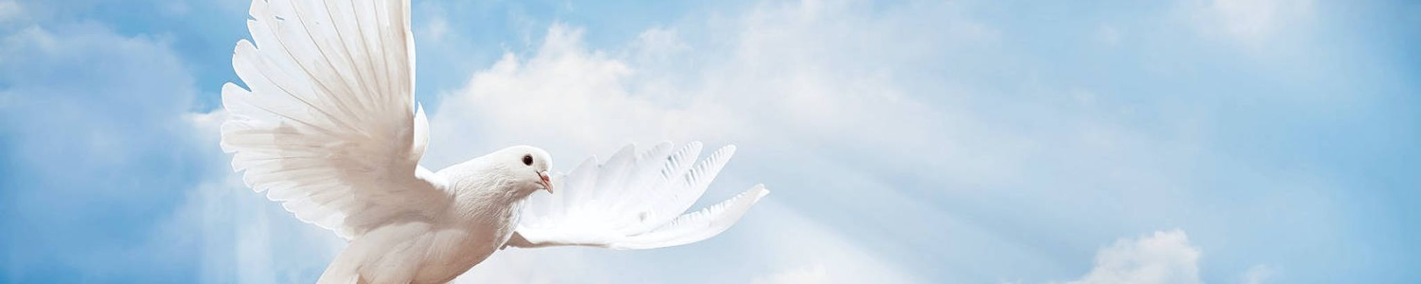 Cover photo for Yvonnie Ferguson's Obituary