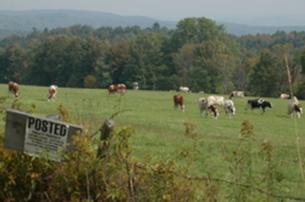 Laurance "Larry" Edward Allen