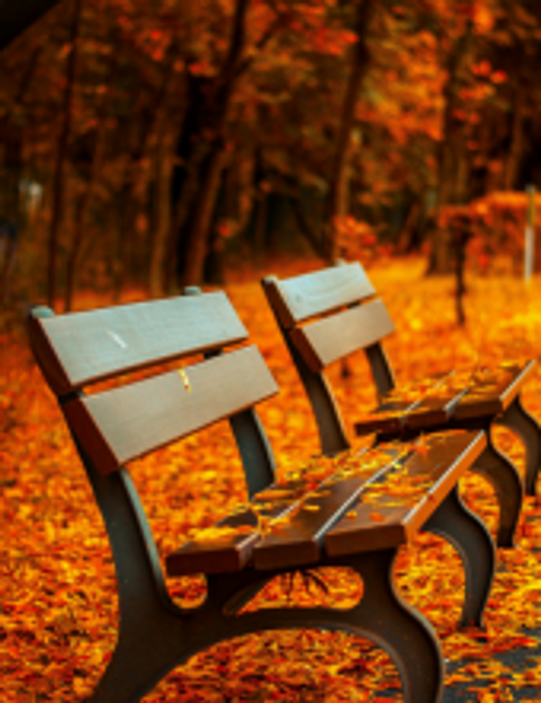 George Ross Anderson, Iii