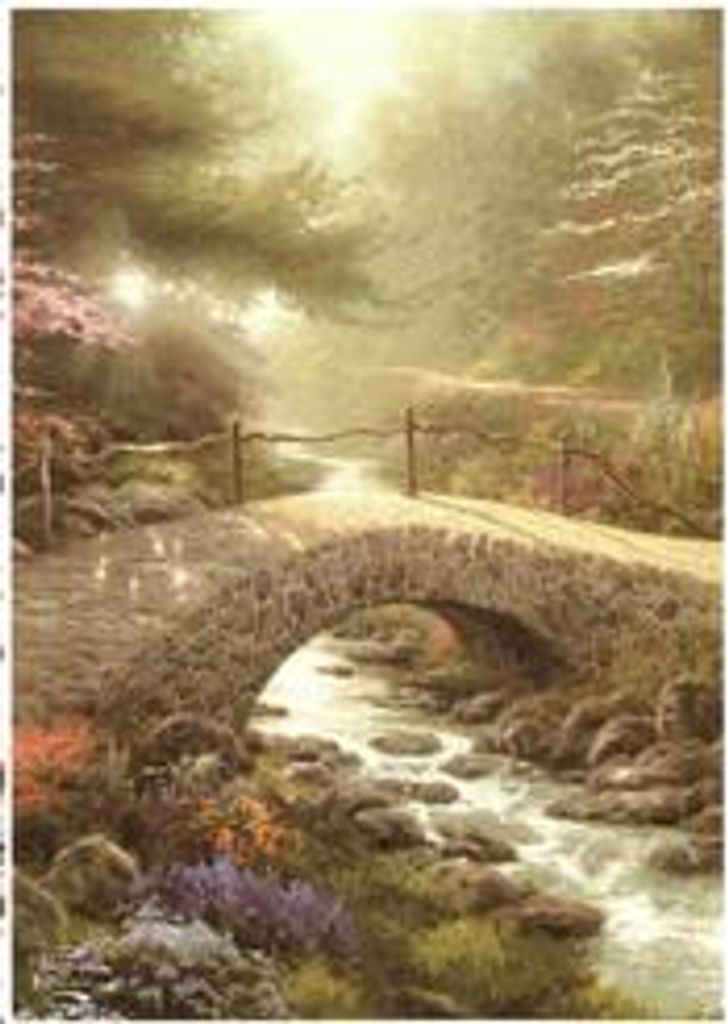 Debra M. Divine