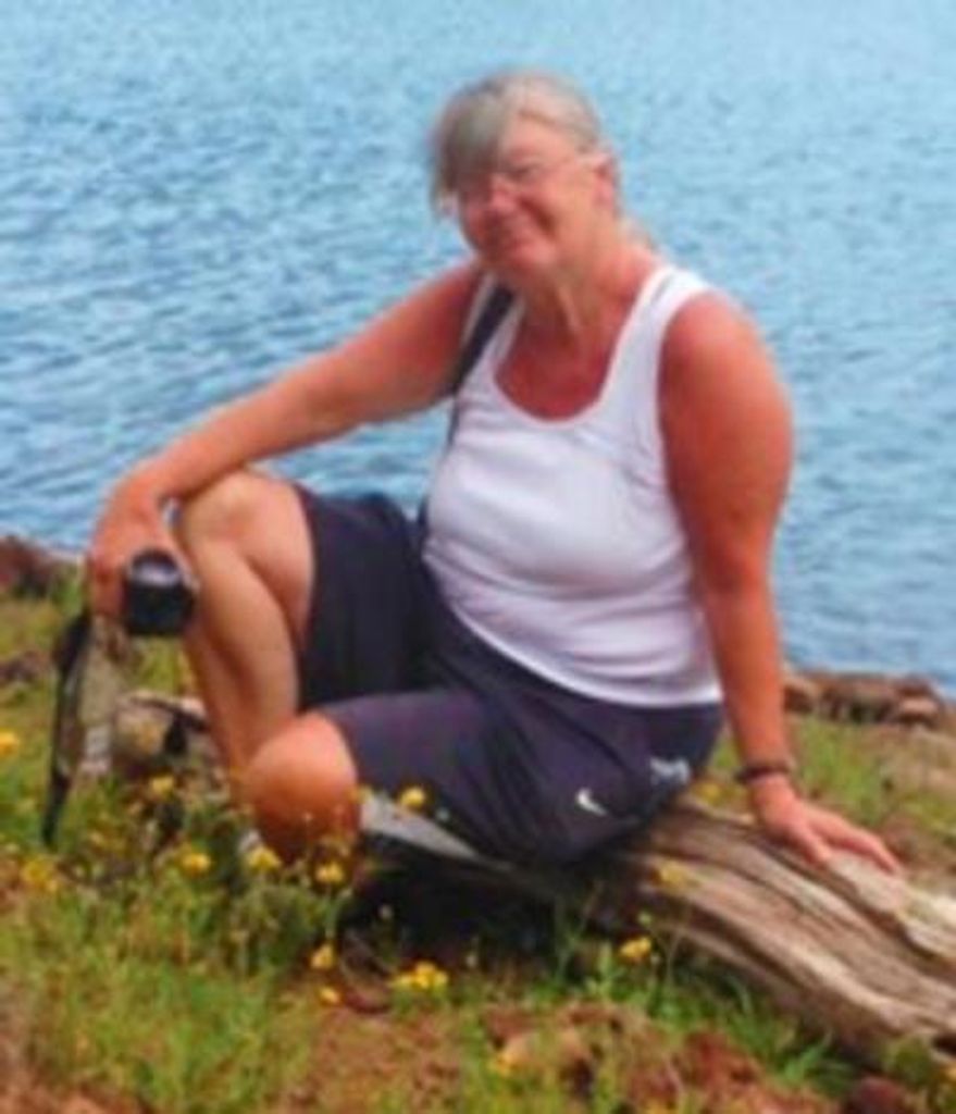 Diane Cerbin Mcdaniel