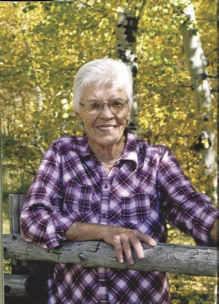 Gloria Peterson Higgins Profile Photo