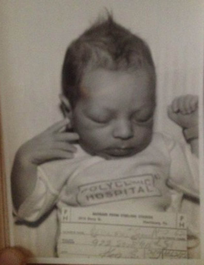 Andrew  Joseph Ortenzio Profile Photo