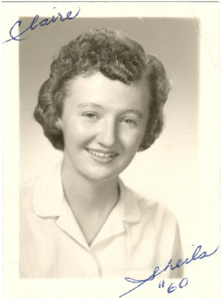 Sheila Sullivan Profile Photo