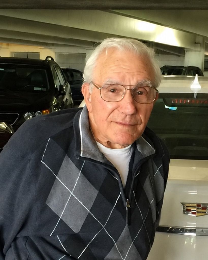 Dominick A. PETRELLI
