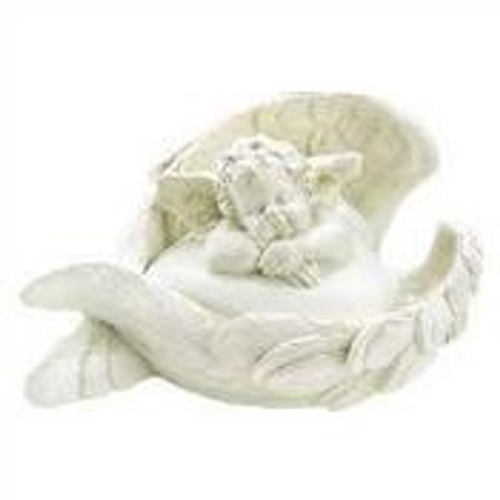 Giana Faith Shellhorn