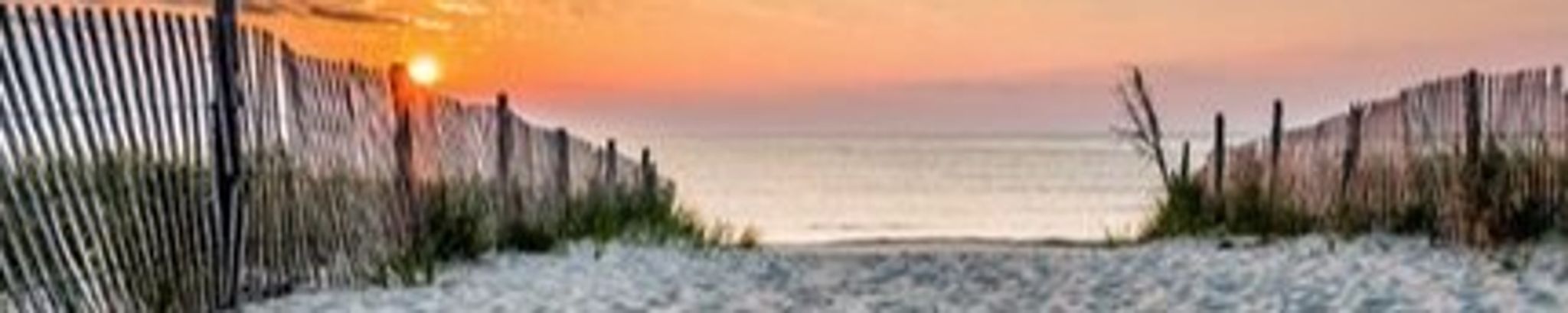 Cover photo for Genevieve Suchy's Obituary